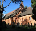 concert image